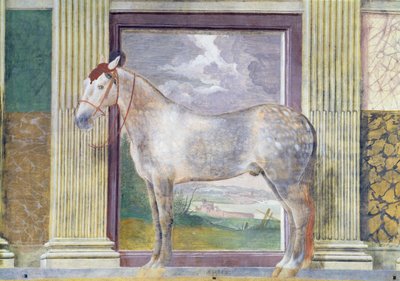 Sala dei Cavalli, (detail) by Giulio Romano